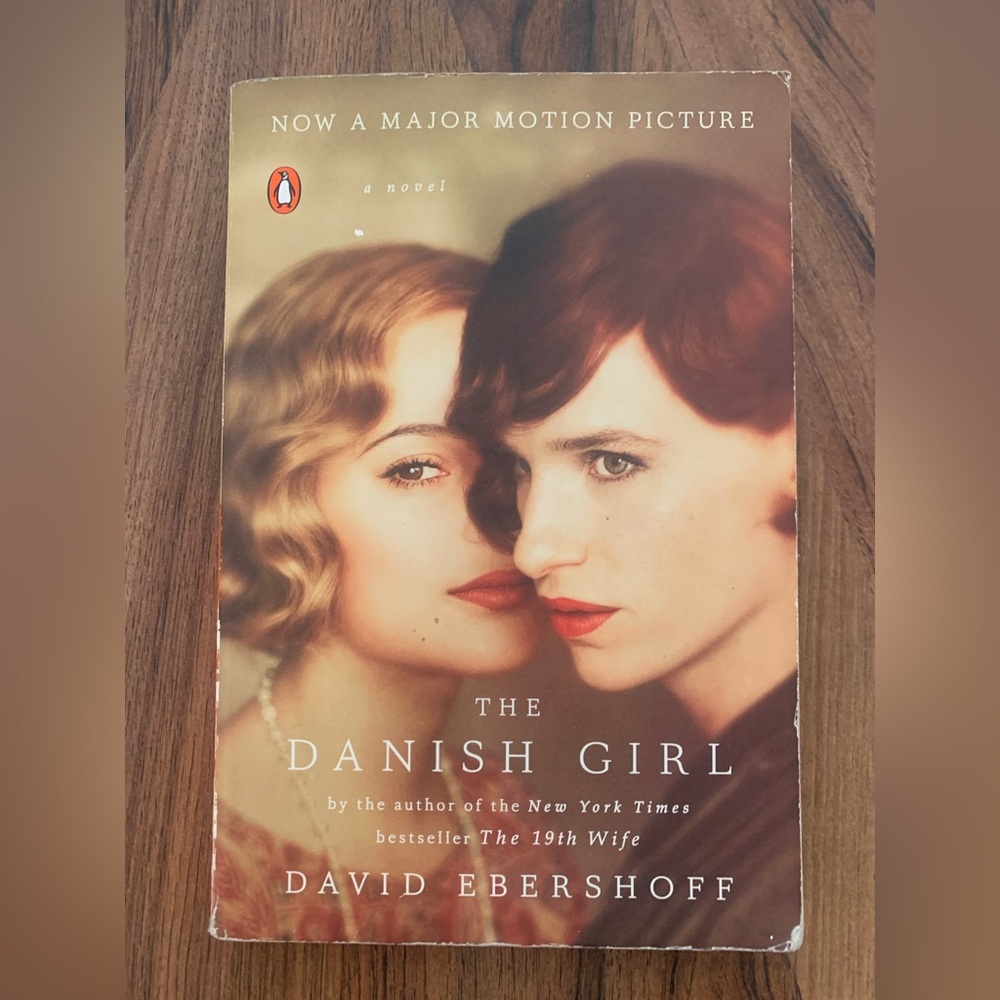 📚2/$12📚 Novel: The Danish Girl by David Ebershoff
